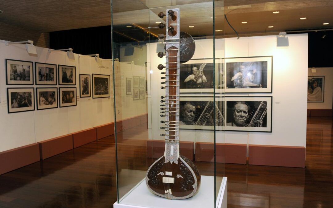 ARTÍCULO SOBRE EL SITAR. ENRIQUE CÁMARA DE LANDA