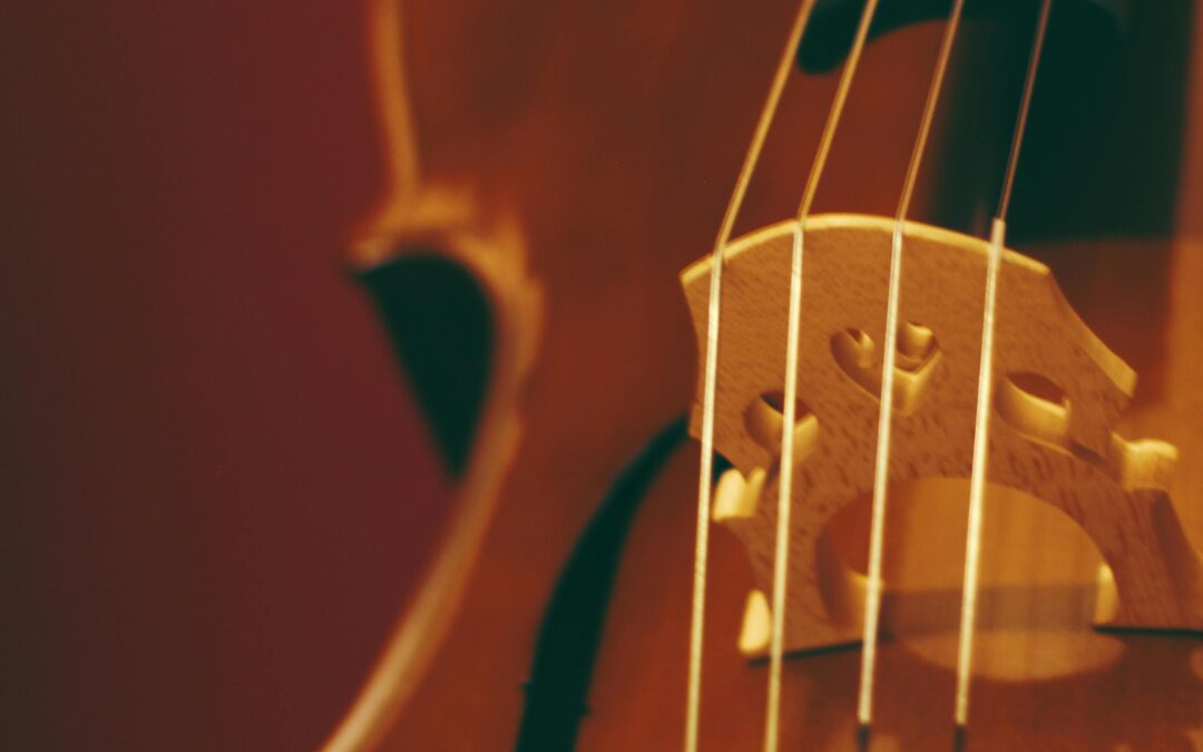 Workshop de música carnática