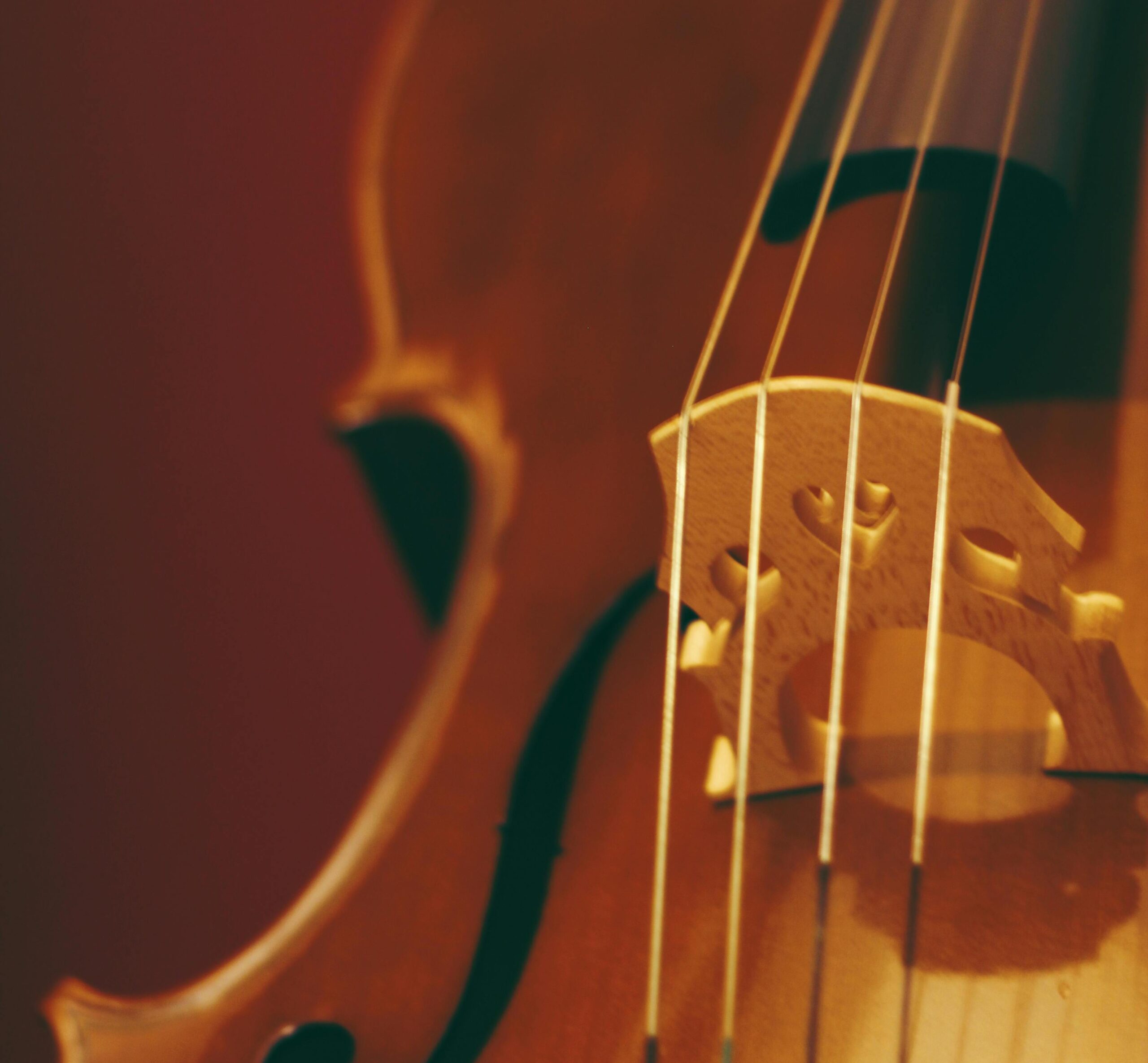 de música carnática Casa de la India Valladolid